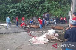 Warga diimbau gunakan pembungkus daging kurban ramah lingkungan