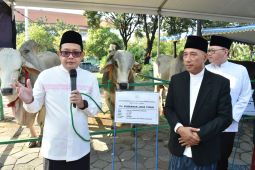 Pj Gubernur: Jumlah hewan kurban di Jatim alami peningkatan