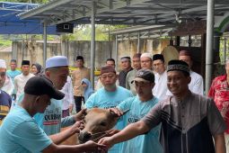 Polres Bangka Selatan sembelih 13 hewan kurban