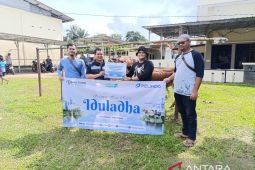 Pelindo Pangkalbalam salurkan 5 ekor hewan kurban