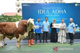 PLN distribusikan daging kurban ke seluruh Indonesia