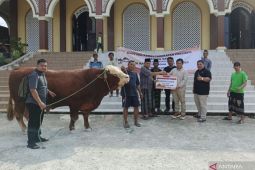 Presiden Jokowi sumbang hewan kurban di IKN