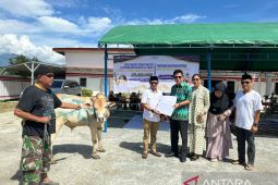 Bandara Mutiara Palu distribusi 25 hewan kurban untuk wilayah sekitar bandara