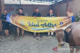 PWI Kalsel potong tiga hewan kurban untuk dibagikan