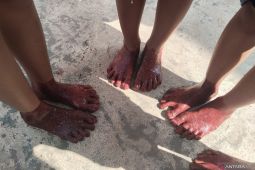 Celup kaki ke darah hewan kurban tradisi warga Palembang, ini tujuannya