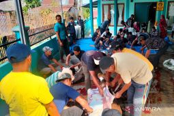 Distankan Rejang Lebong tidak temukan hewan kurban berpenyakit