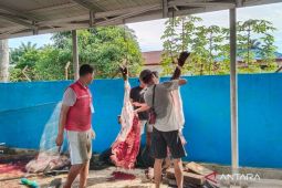 Masjid di Mukomuko bagikan 700 kupon daging kurban