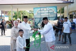 Polda Kalsel kurban 192 sapi dan 62 kambing