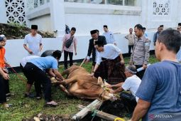 Pj Wali Kota Bogor imbau pendistribusian daging kurban secara merata