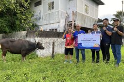 Telkomsel libatkan peternak dan UMKM lokal  distribusi hewan kurban