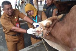 DPKP Tangerang temukan delapan kasus cacing hati pada hewan kurban