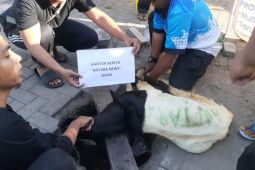Idul Adha 1445 H, ANTARA Biro Jatim kembali berkurban tiga ekor kambing