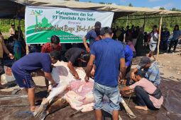 PT PAS berbagi kebahagiaan melalui ibadah kurban
