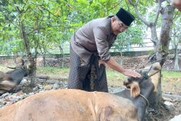Sembelih 77 ekor hewan kurban, Bupati Tanjabbar: ASN saling berlomba untuk kebaikan