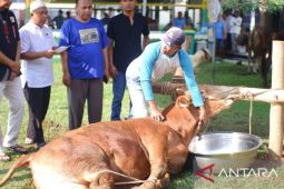 Kemenkumham Babel potong 48 ekor hewan kurban