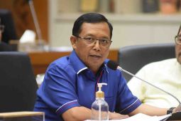 Anggota Komisi VI DPR nilai pembangunan IKN untuk kepentingan nasional