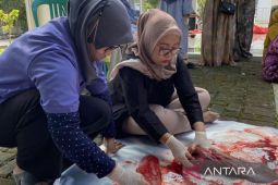 Pemkab Bekasi pastikan hewan kurban bebas dari penyakit