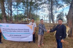 Sambut Hari Raya Idul Adha, BSI Aceh salurkan Hewan kurban