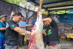 Pegawai PLN Babel salurkan 1.300 paket daging hewan kurban