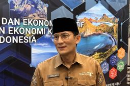 Menparekraf atasi harga tiket pesawat mahal agar tak bawa efek pariwisata