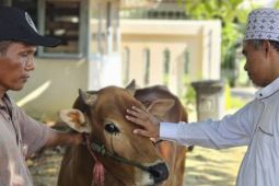 Sholat Idul Adha 1445 H dan penyembelihan hewan kurban PTPN IV
