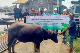 Adaro Logistics Group bagikan hewan kurban di wilayah operasional