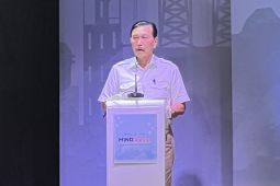 LBP kritisi birokrasi berbelit hambat bantuan listrik ke perbatasan PNG