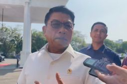 Jokowi dan menteri bahas legalisasi tanaman kratom