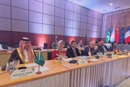 Ketua BPK ajak serukan hasil SAI20 2024  kepada komunitas global