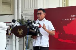 Presiden Jokowi minta manfaat tanaman kratom diteliti