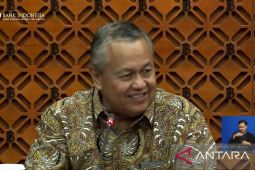 BI sebut kebijakan RPLN perkuat pengelolaan dana luar negeri