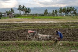 Pertanian regeneratif untuk hadapi iklim ekstrem