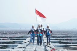 PLN jadi perusahaan utilitas trbaik se-kawasan versi Fortune 500 Asia Tenggara