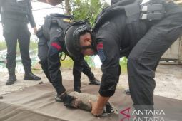 Jibom Polda Babel hancurkan mortir aktif amunisi kapal perang