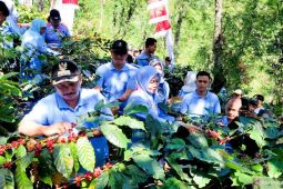 Menjaga industri kopi dari hulu hingga hilir