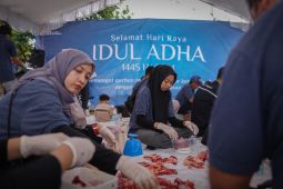 PLN UID Kalselteng bagikan 3.823 paket daging kurban berbagi berkah Idul Adha