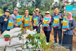 Kementan salurkan bantuan antisipasi el Nino di Rejang Lebong