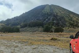Karhutla di TN Bromo Tengger Semeru berhasil dipadamkan