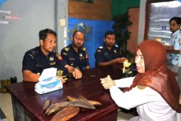 KPPBC Ambon-BKHIT Maluku bantu UMKM lakukan ekspor ikan kayu