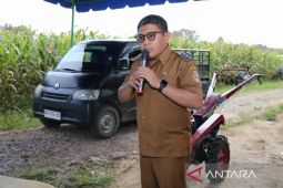 Begini pesan Pj Bupati Taput kepada ASN dan Kades  di Pemilukada
