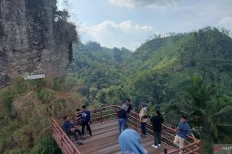 Jelajahi keindahan Puncak Widosari-Kebun Teh Tritis Kulon Progo