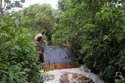 Jambi percepat penyusunan dokumen tata kelola gambut