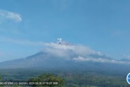 Semeru erupsi dengan tinggi letusan 600 meter