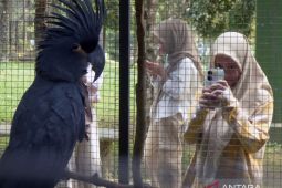 Survei: berlibur ke luar kota lebih diminati ketimbang "staycation"
