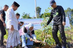 PLN tanam sebanyak 165 pohon produkti di LATA