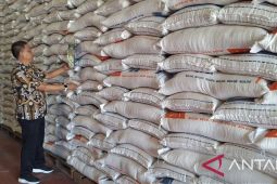 Bulog Aceh beli gabah petani sebanyak 1.788 ton