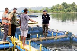 Budi daya perikanan di Simeulue masih rendah