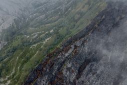 Luas lahan terdampak kebakaran Gunung Bromo