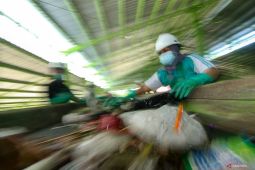 Pengolahan sampah TPS Balak