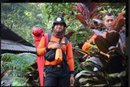 Basarnas Banten lakukan pelatihan di kawasan gunung dan hutan